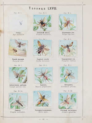 Гагельберг В. Рельефные картинки животных Гагельберга с их описанием... СПб., 1912.